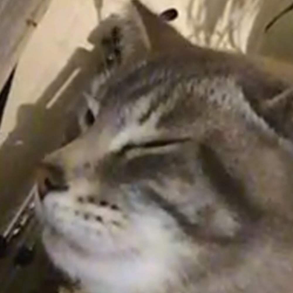 Meet your Posher, Tori